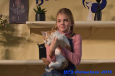 Antwerpen 2019DSC 0439