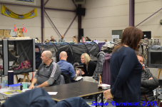 turnhout 2019-0296