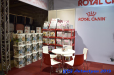 Antwerpen 2019DSC 0038