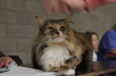 img 2376