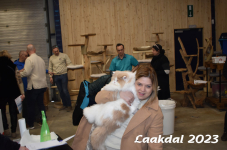 Laakdal 2023 143
