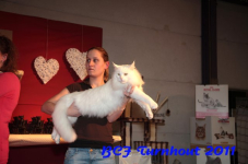 bcf antw 2010 200