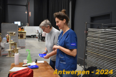 Antwerpen 149