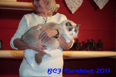 bcf antw 2010 274