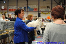 turnhout 2019-0137