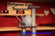 bcf antw 2010 297