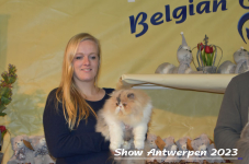 Schow Antwerpen 2023 379