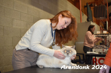 Arendonk 2024 033