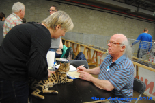 antwerp 2018 0448