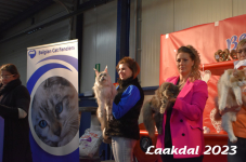 Laakdal 2023 369