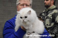 Antwerp 2022202