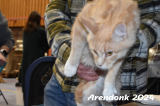Arendonk 2024 058