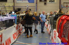 turnhout 2019-0293