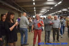 Antwerpen 2019DSC 0345