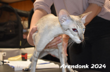 Arendonk 2024 096