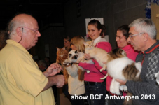 showantwerpen 1108