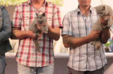 arendonk 2012 280