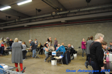 antwerp 2018 0443