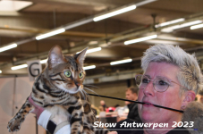 Schow Antwerpen 2023 304