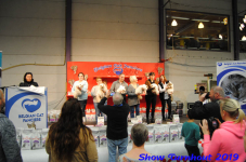 turnhout 2019-0123