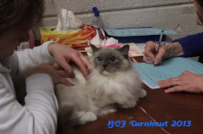 turnhout 2013 img 0059