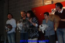 bcf antw 2010 090