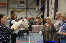turnhout 2019-0441