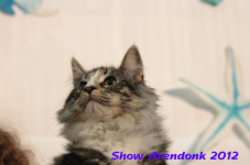 arendonk 2012 336