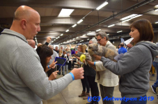 Antwerpen 2019DSC 0349