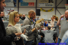 turnhout 2019-0197