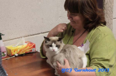 turnhout 2013 img 0049
