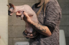 antw 2015 258