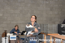 Schow Antwerpen 2023 246