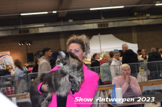 Schow Antwerpen 2023 259