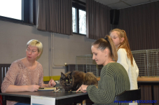 Katttenshow Arendonk 2020 DSC 0207