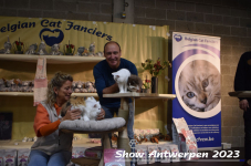Schow Antwerpen 2023 232
