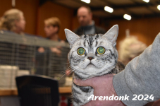 Arendonk 2024 265