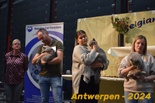 Antwerpen 266