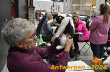 Antwerpen 230
