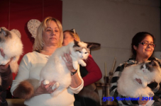bcf antw 2010 220