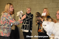 Antwerp 2022245