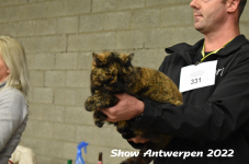 Antwerp 2022312