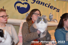 Schow Antwerpen 2023 398