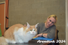 Arendonk 2024 303