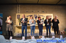 Antwerpen 2019DSC 0324