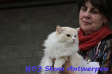 antwerpen 2012 213