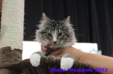 arendonk 2012 330