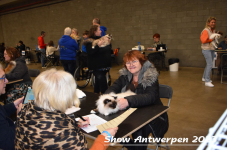 Schow Antwerpen 2023 189