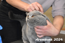Arendonk 2024 114