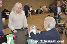 Schow Antwerpen 2023 146